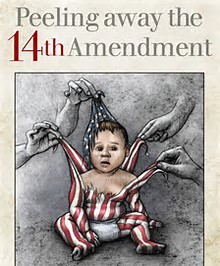 Born in Despotism the 14th Amendment