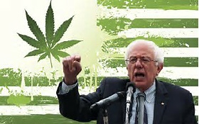 Legalize Marijuana & Drug Use